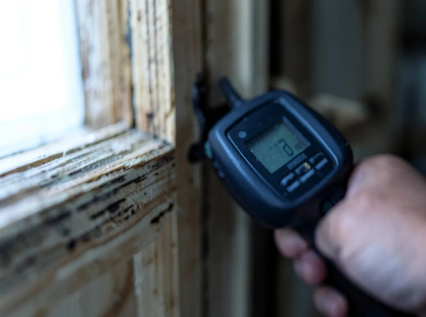 Moisture Inspection And Documentation in Mullica Hill, NJ